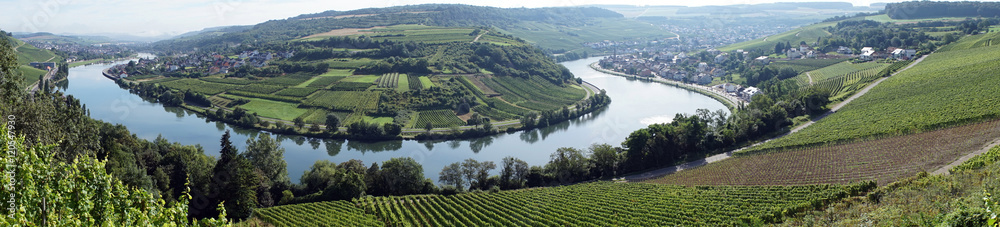 Panorama of Mosel valley