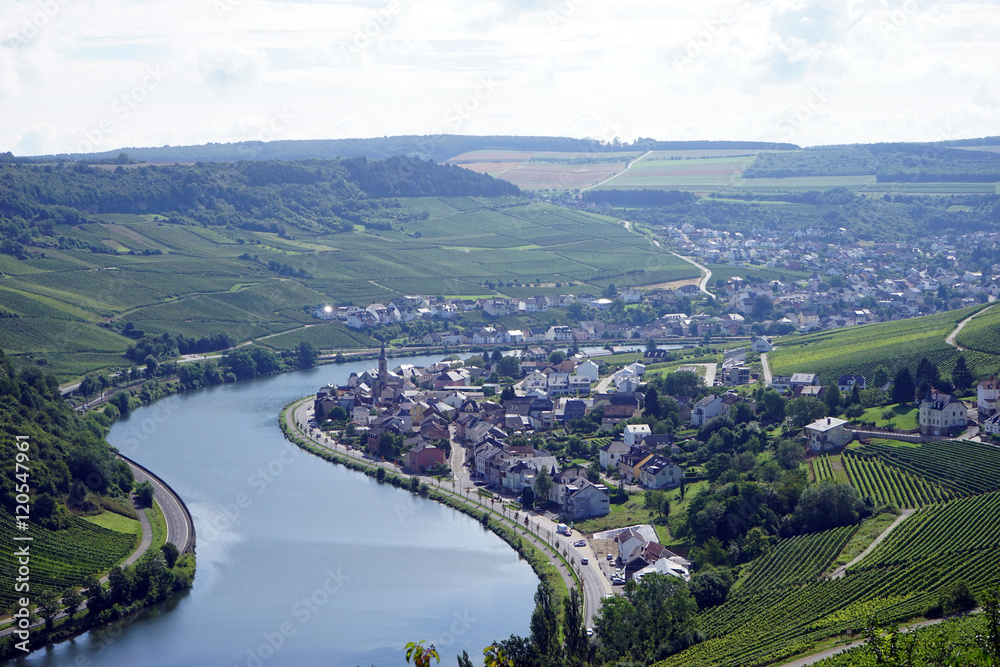 Fototapeta premium Machtum and Mosell valley