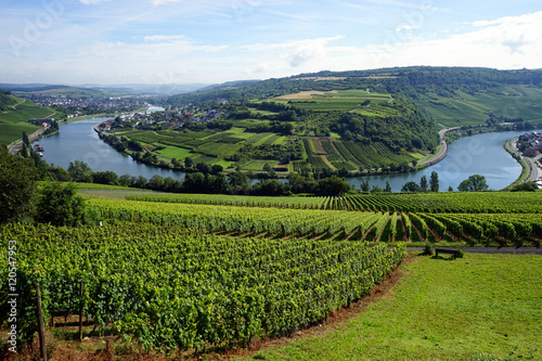 View of Mosel valley photo