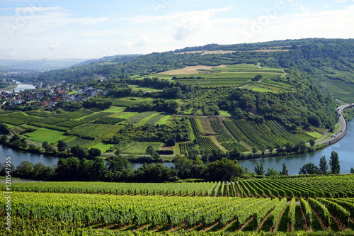 View of Mosel valley
