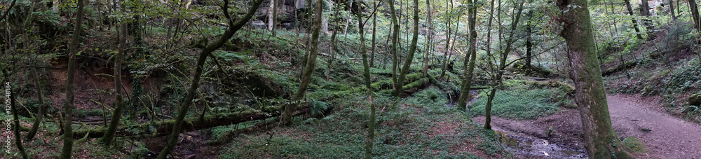 Footpath in Ardennes