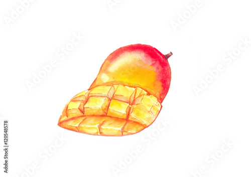 Mango, Watercolor painting isolated on white background