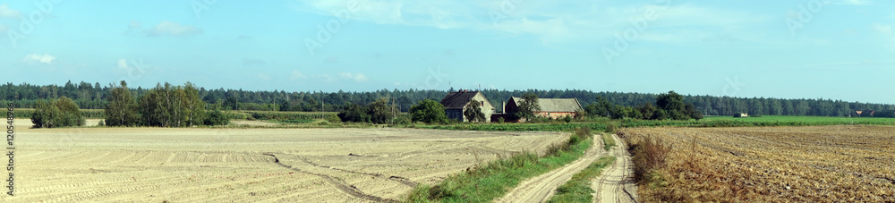 Panorama of field Panorama of field