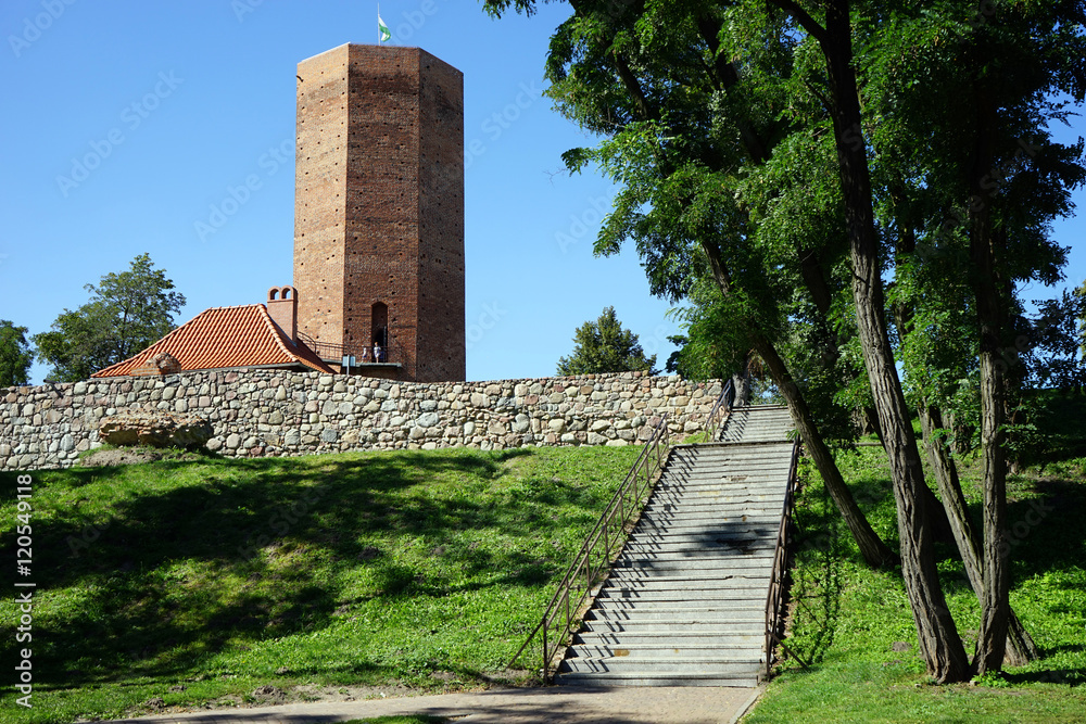 Fototapeta premium Hogh brick tower