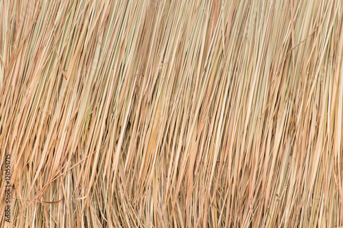 dried grass or vetiver khus for background.
