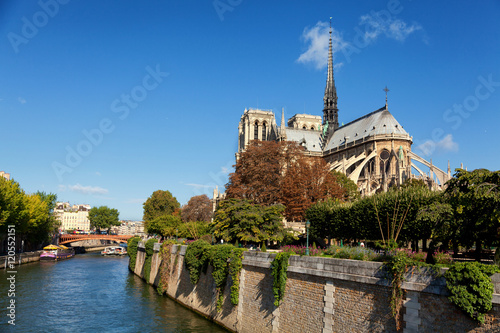Fototapeta Naklejka Na Ścianę i Meble -  Notre Dame from Square du Jean XXIII, Paris. Wide shot with rive