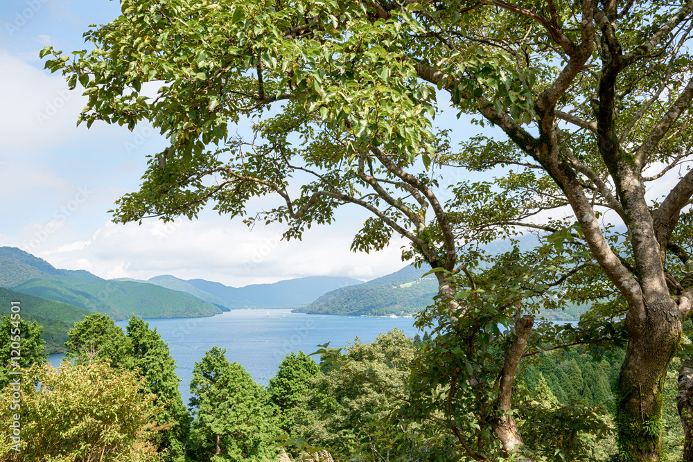 Obraz premium 芦ノ湖