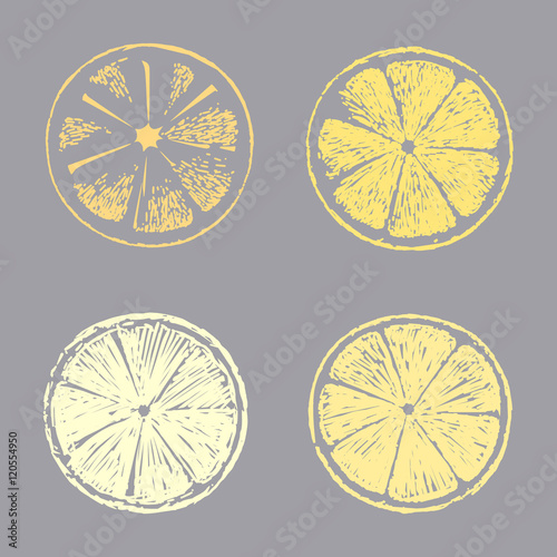 Abstract lemon slice, Sketch hand drawn