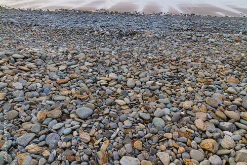 Stony beach at low tide photo