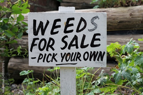 Weeds for Sale wooden sign in garden 