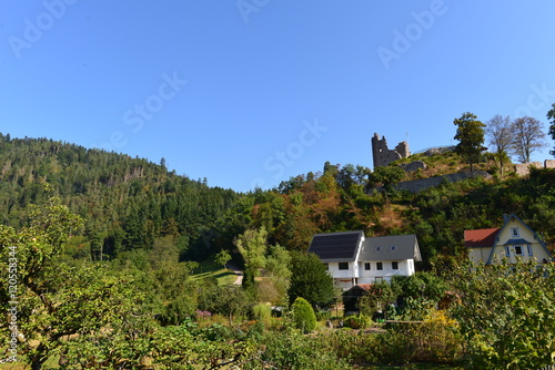 Burgruine Nordschwarzwald  photo