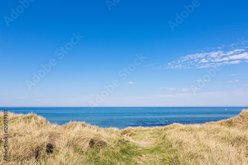 Dünen mit Gras und Meer im Sommer