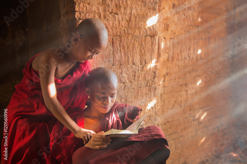 Young Buddhist novice monk reading and study outside monastery