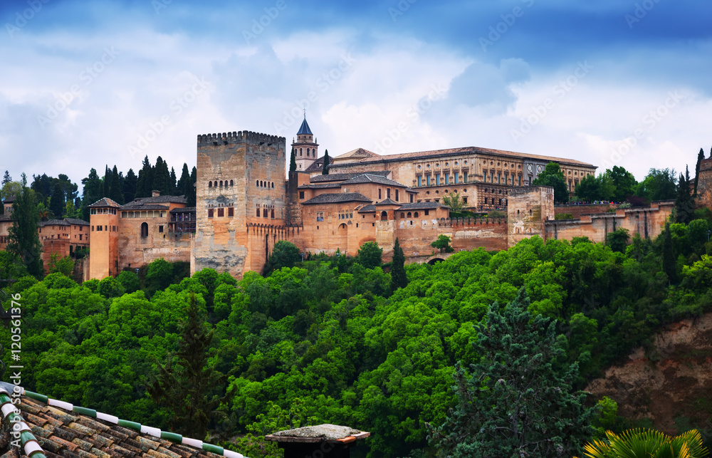  view of   Nazaries palaces of Alhambra.  Granada