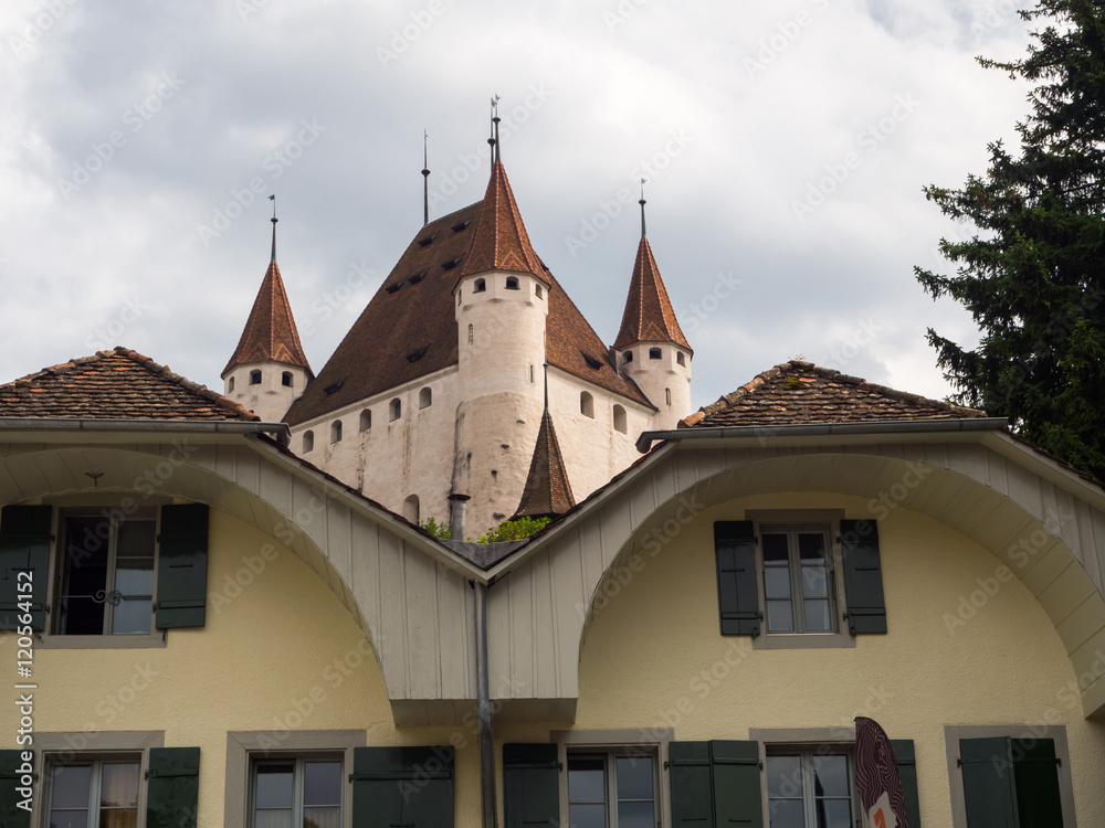 Castillo medieval de Thun en Suiza OLYMPUS DIGITAL CAMERA