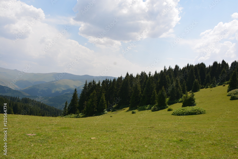 Giresun/Yaylalar