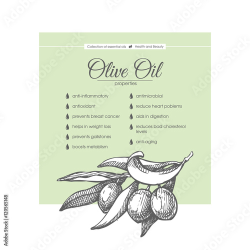  Stylish design with sketch illustration of olive