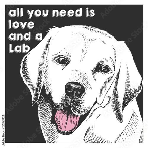 Vector close up portrait of labrador retriever, isolated on black square background. All you need is love and a dog.