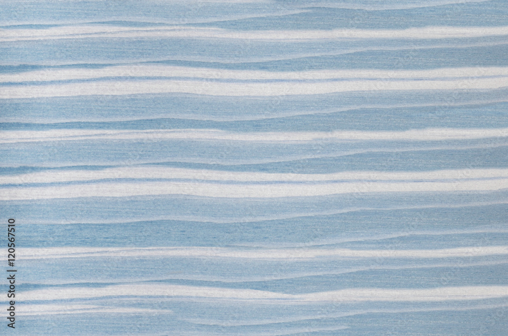 Wood texture. Lining boards wall. Wooden background pattern. Showing growth rings. blue spruce, pine Wood texture. Lining boards wall. Wooden background pattern. Showing growth rings. blue spruce, pine