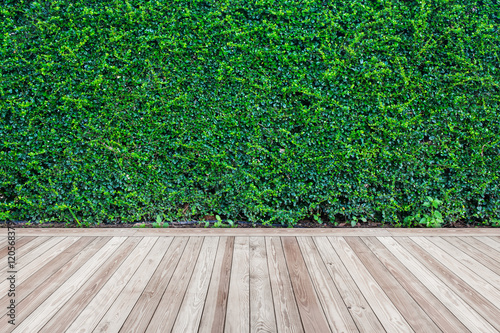 Wood floor with green leaves wall background © ParinPIX
