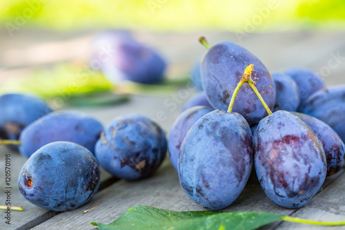 Plums. Blue and violet plums in the garden on wooden table.