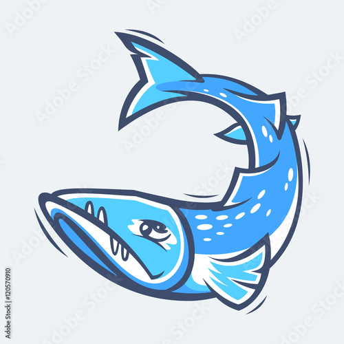 Barracuda sea life vector illustration