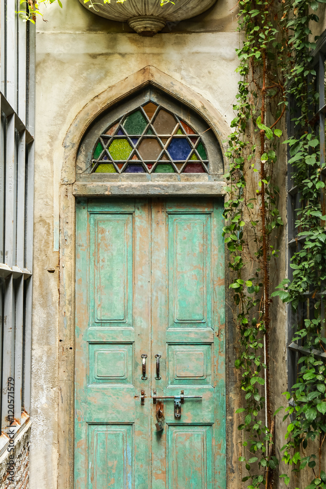 green wood door and a wall covered with green leaf