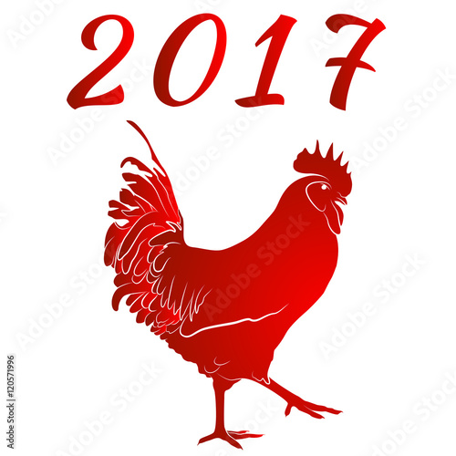 Red cock. Symbol of Chinese New Year.