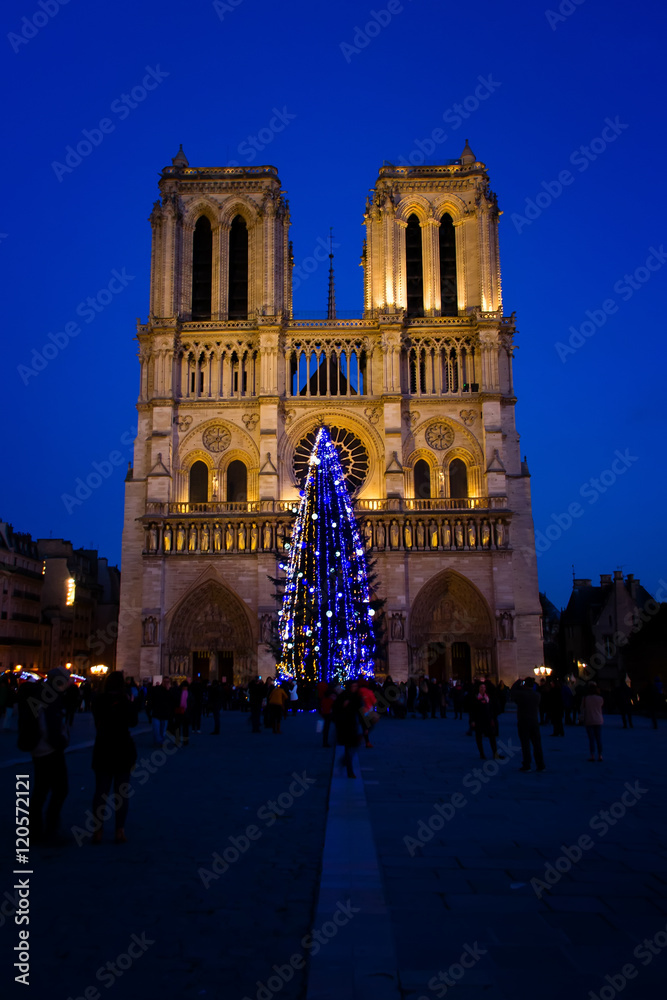 Fototapeta premium Cathédrale Notre-Dame de Paris, 2015