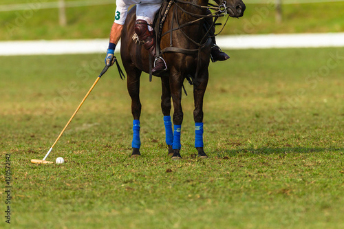 Polo Players Ponies equestrian game action