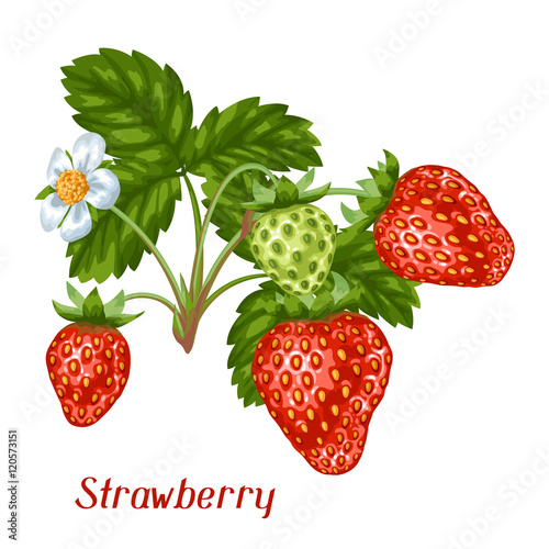 Bunch of red strawberries. Decorative berries and leaves