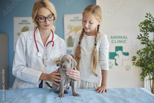Girl brushing her puppy at the vet