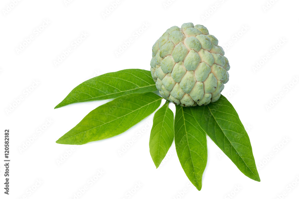 Custard apple isolated on white background Custard apple isolated on white background