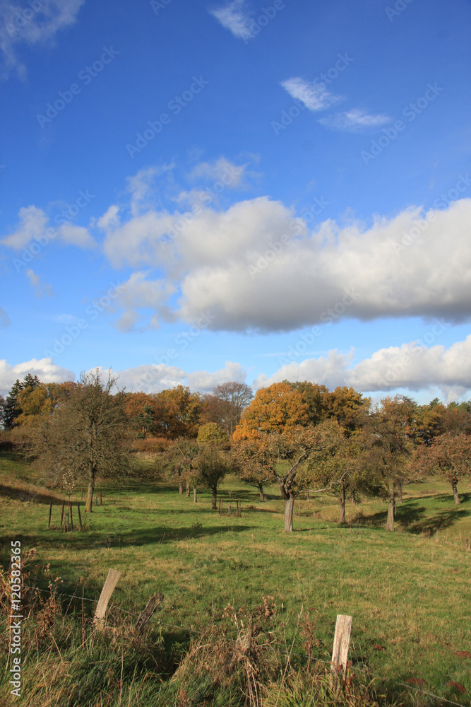 Obraz premium Obstwiese im Herbst