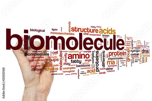 фотографія Biomolecule word cloud concept