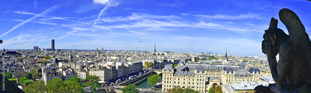 Gárgola y vista de París desde Notre Dame