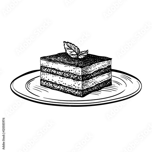 Vector illustration of tiramisu