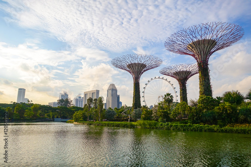 Super Trees & Singapore Flyer