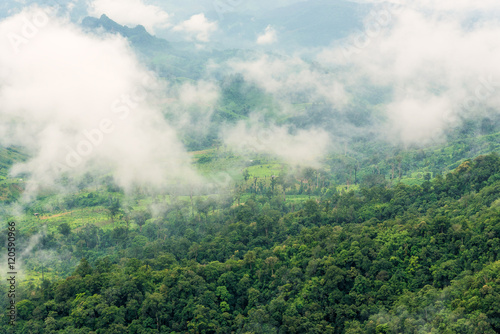 Aerial view of agricultural area in mountain valley landscape in