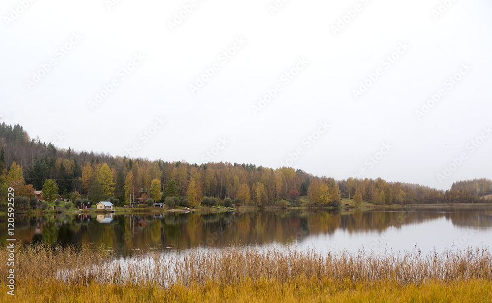 A view during autumn day on the lake.