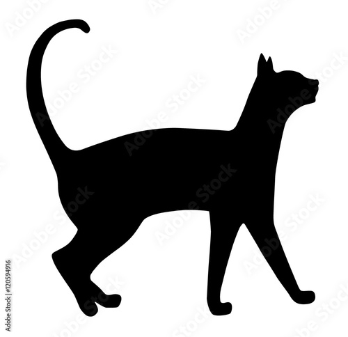 Cat silhouette on a white background