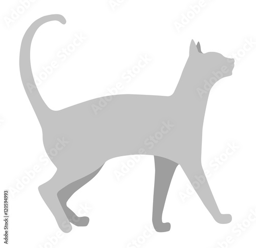 Cat silhouette on a white background