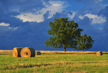 Fotobehang Zomer Nazomerlandschap onder stormachtige hemel  © meryll