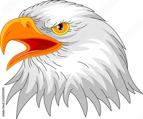 eagle head mascot