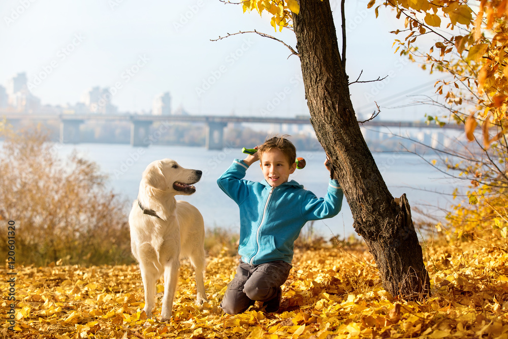 Fototapeta premium Autumn walk with pet