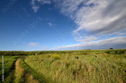 Obraz na płótnie Road in field w salonie