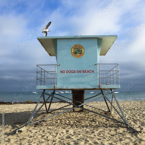 capitola beach in california photo