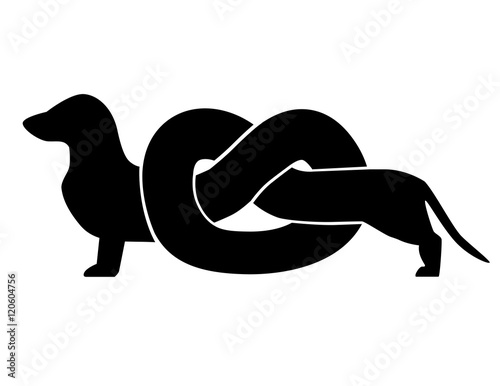 Knotted dachshund in silhouette