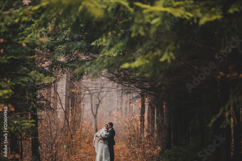 young family, the wedding, the newlyweds. Bride and groom walk around the trees in an autumn forest © nataliakabliuk