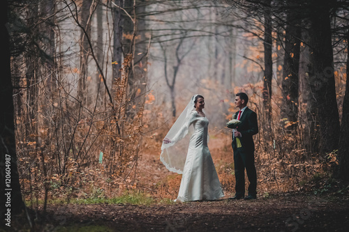 young family, the wedding, the newlyweds. Bride and groom walk around the trees in an autumn forest
